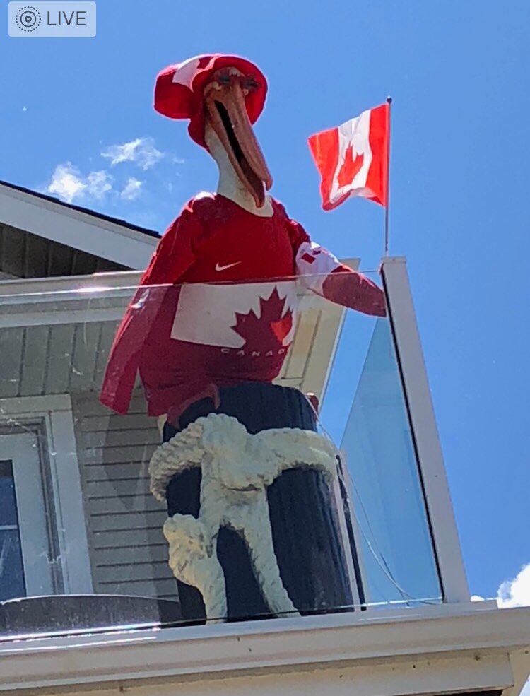 ivonnaholiday's tweet photo. More of Pelican Bill at the lake #centralalbertalakefun #centralalbertasylvanlake #waterfront #funatthelake #lifeatthelake #pelicanbill #summerfun #sylvanlakeattractions #sylvanlake https://t.co/HuOWF5iCYy