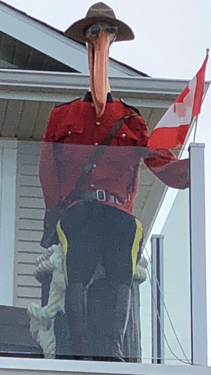 ivonnaholiday's tweet photo. More of Pelican Bill at the lake #centralalbertalakefun #centralalbertasylvanlake #waterfront #funatthelake #lifeatthelake #pelicanbill #summerfun #sylvanlakeattractions #sylvanlake https://t.co/HuOWF5iCYy