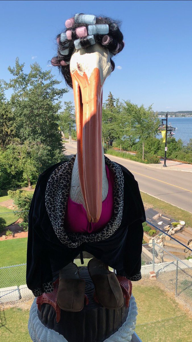 ivonnaholiday's tweet photo. More of Pelican Bill at the lake #centralalbertalakefun #centralalbertasylvanlake #waterfront #funatthelake #lifeatthelake #pelicanbill #summerfun #sylvanlakeattractions #sylvanlake https://t.co/HuOWF5iCYy