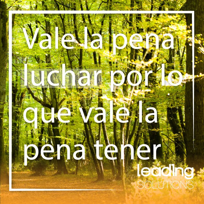 SomosLeading's tweet image. 🌲 🌳 Vale la pena luchar por lo que vale la pena tener 🌲 🌳 
#LeadingSolutions #Éxito #Supérate #NacidosParaTriunfar
