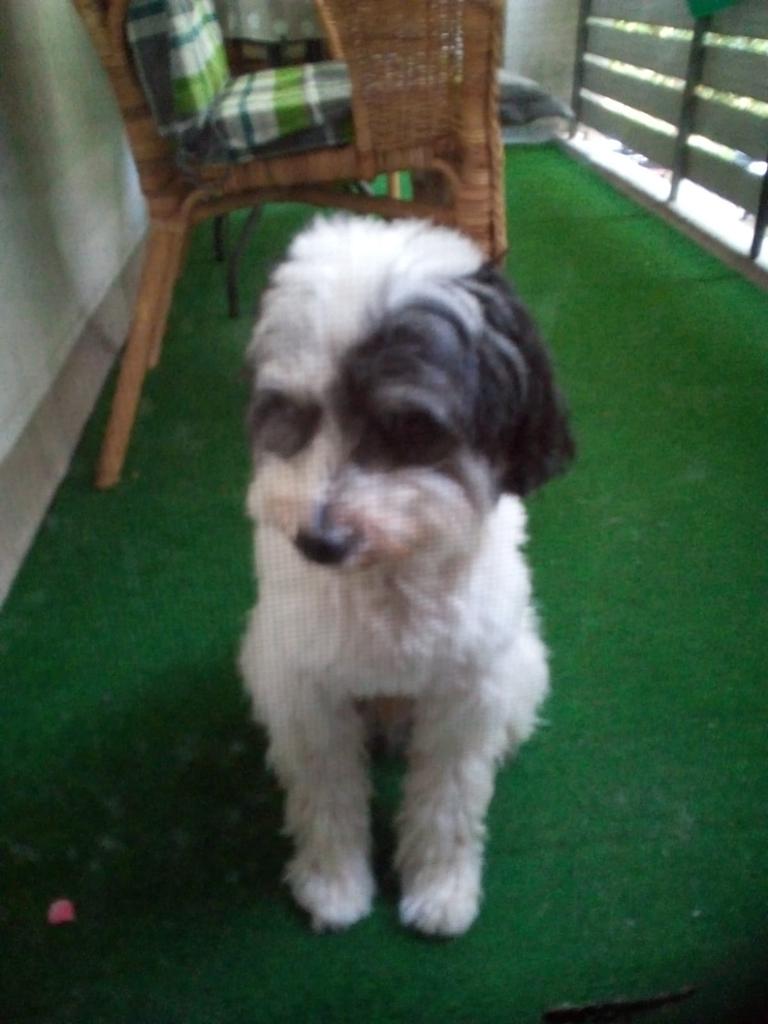 Sansa (@inkawerres) on Twitter photo 