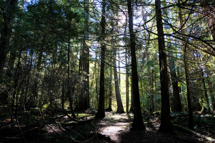 FoodGays's tweet photo. 5 Reasons To Visit Parksville and Qualicum Beach This Summer https://t.co/m5kDR2wY0k @VisitParksville @Tigh_Na_Mara #MyPQB https://t.co/0F9QFmTHZI