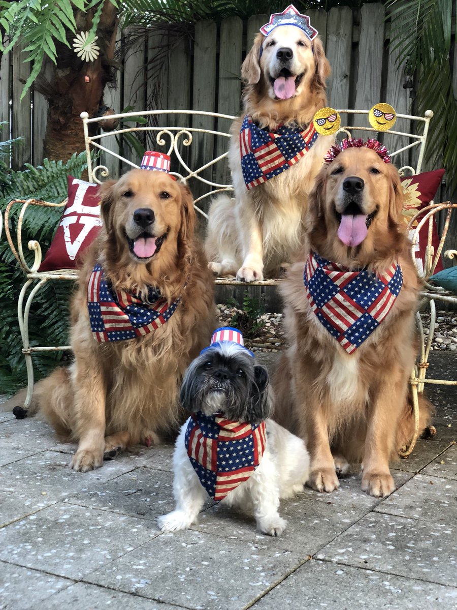 PradasBunch15's tweet photo. Happy 4th of July!! ❤️🎉🇺🇸🇺🇸🐕🐕🐕🐶❤️ https://t.co/YXexq4HQWY