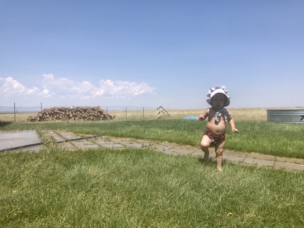 BareDPT's tweet image. Feral Country Baby thehighplainshomesteaders.com/2018/07/06/fer…