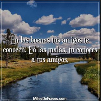 jose salomon tweet media