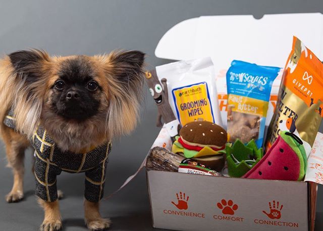 ShaggySwagBox's tweet photo. Let the celebrations and BBQs continue! 🐶: @nelson.the.pup :
:
:
ShaggySwag July 4th Sale is extended through the weekend! 50% off your first Shaggy delivery + FREE Shaggy Shades.
Use code: SHAGGYUSA
Get after it before it’s gone!
#letsshagg #shaggyswag https://t.co/1UYP4Zh4yx https://t.co/mAo7cFEGwS