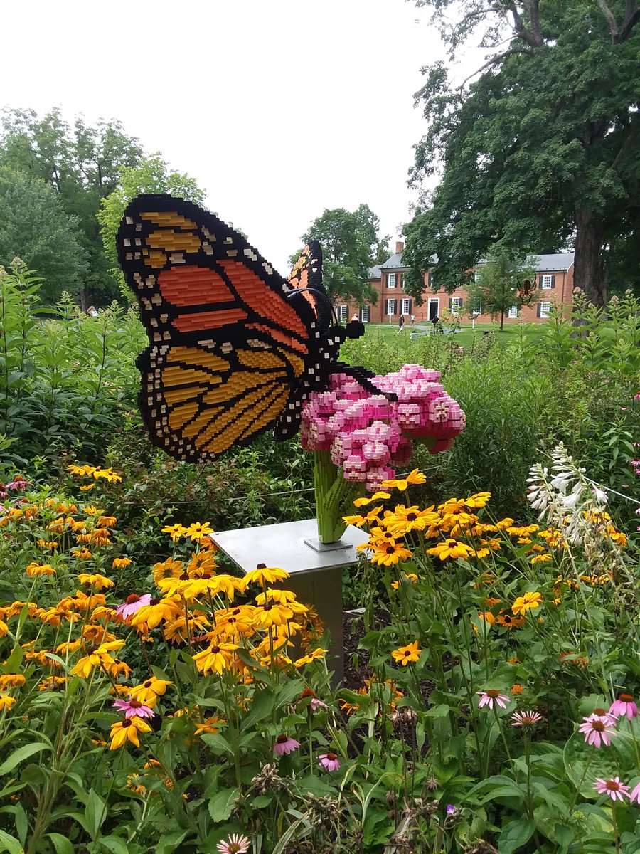 Pearson22728's tweet image. Hey @FCPS1News community go @visitMSV awesome #natureconnects lego exhibit. Don't miss musum gallery with miniatures! Top off with lunch in Old  Town. Hey @btmikel1018  I finally took a day off!