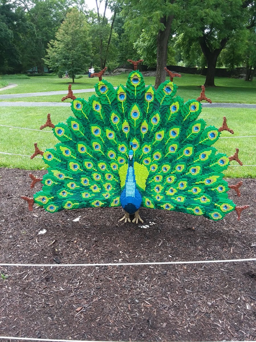 Pearson22728's tweet image. Hey @FCPS1News community go @visitMSV awesome #natureconnects lego exhibit. Don't miss musum gallery with miniatures! Top off with lunch in Old  Town. Hey @btmikel1018  I finally took a day off!