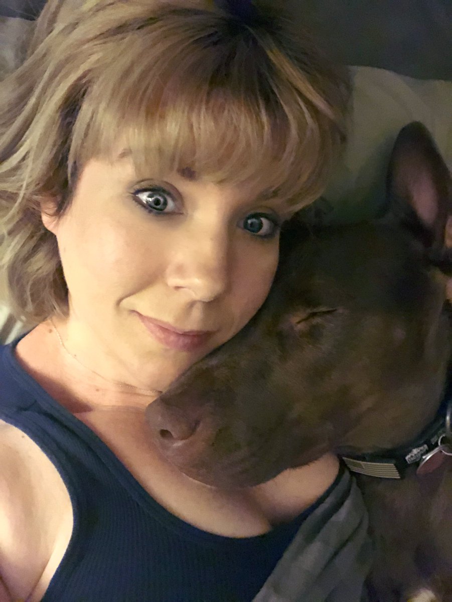 Bethers0314's tweet image. I think Donnan has @CaliSapper beat in the snuggles department. He needs all the love all the time. ❤️ #labpitmix #rescuedog