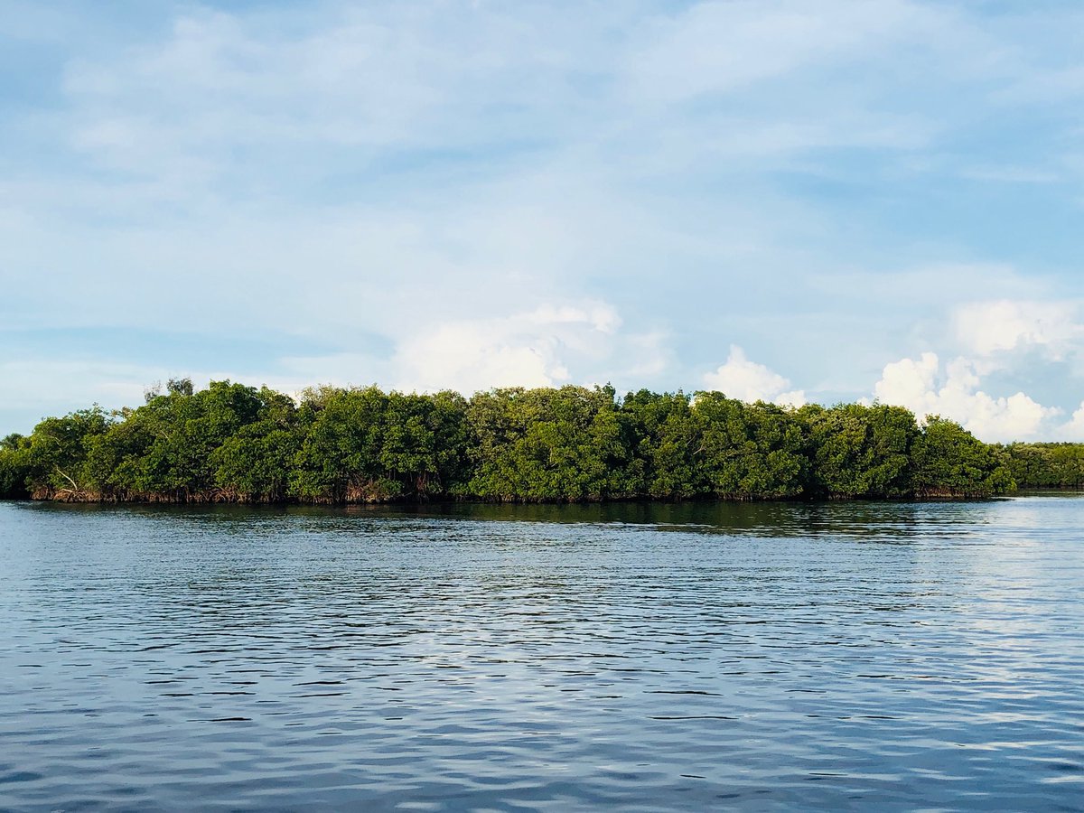 I recently visited the beautiful Charlotte Harbor Aquatic Preserve, which protects 180,000 acres in Sarasota, Lee and Charlotte counties. <a href="/Aquatic_FL/">FL Coastal Office</a> (1/3)