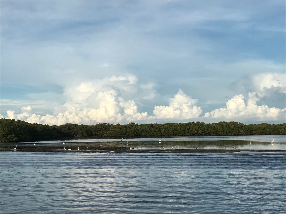 NoahValenstein's tweet photo. Florida Coastal Office staff like Mindy, Mary, Keith and Heather monitor and protect Florida’s aquatic preserves. Much of our daily water quality monitoring is done with the help of volunteers. Thank you! @Aquatic_FL #DEPintheField (2/3) https://t.co/MbRhV07z0V