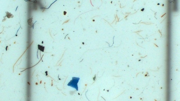 cbcnewsbc's tweet image. Research from @OceanWise finds laundry machines causing microplastic pollution in B.C. waters buff.ly/2ucnt6l