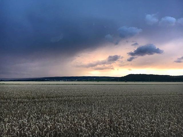 NeusiedlerSea's tweet photo. 🌦☀️weekend is coming 🙌🏻
.
#sunwillbeback #neusiedlersee #seekinder #rainclouds https://t.co/87TeQbEMMe https://t.co/IE6ce8sczZ