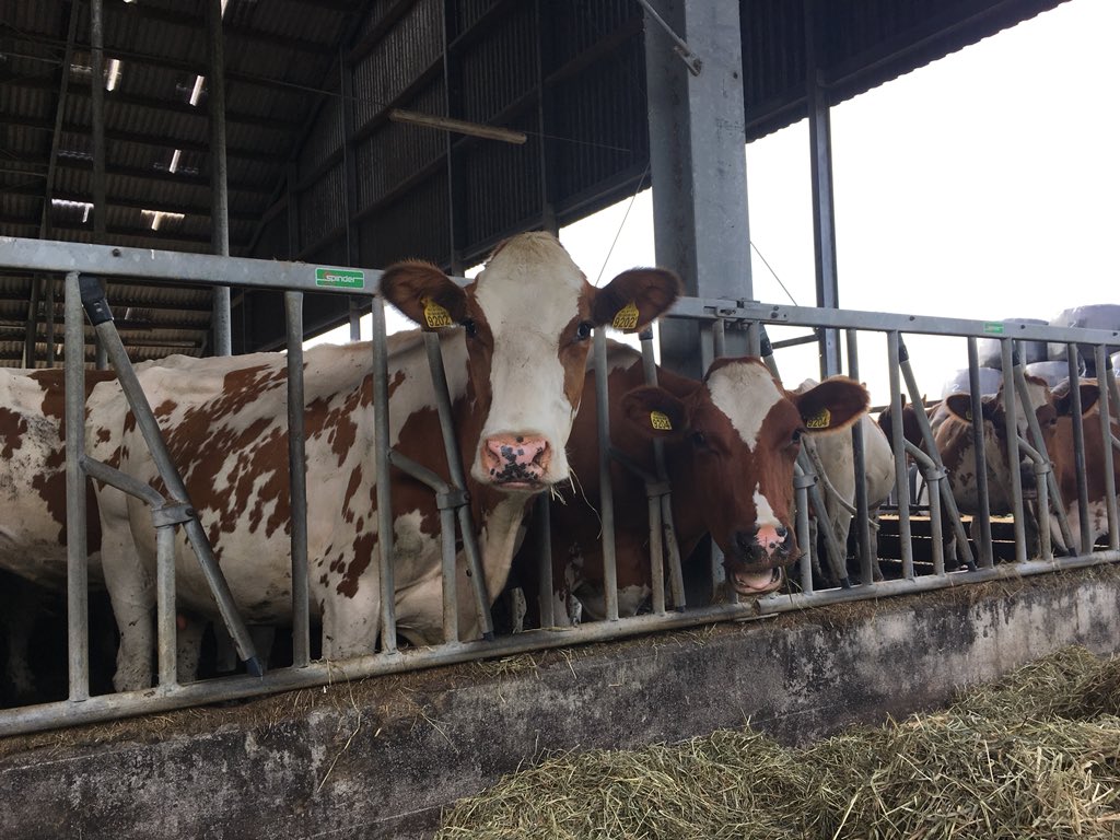 Samen creatief nadenken over #bodemdaling op <a href="/CampingOnbest/">Camping Onbestemd</a> bij <a href="/jaco_boerbert/">Jaco de Groot</a> in Kamerik <a href="/ProvUtrecht/">Provincie Utrecht</a> <a href="/gemeentewoerden/">gemeente Woerden</a> #GroeneHart