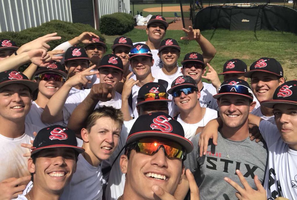 Stix Baseball tweet media
