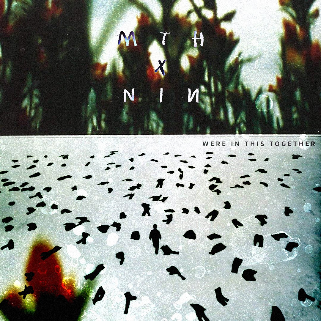 My Ticket Home tweet media