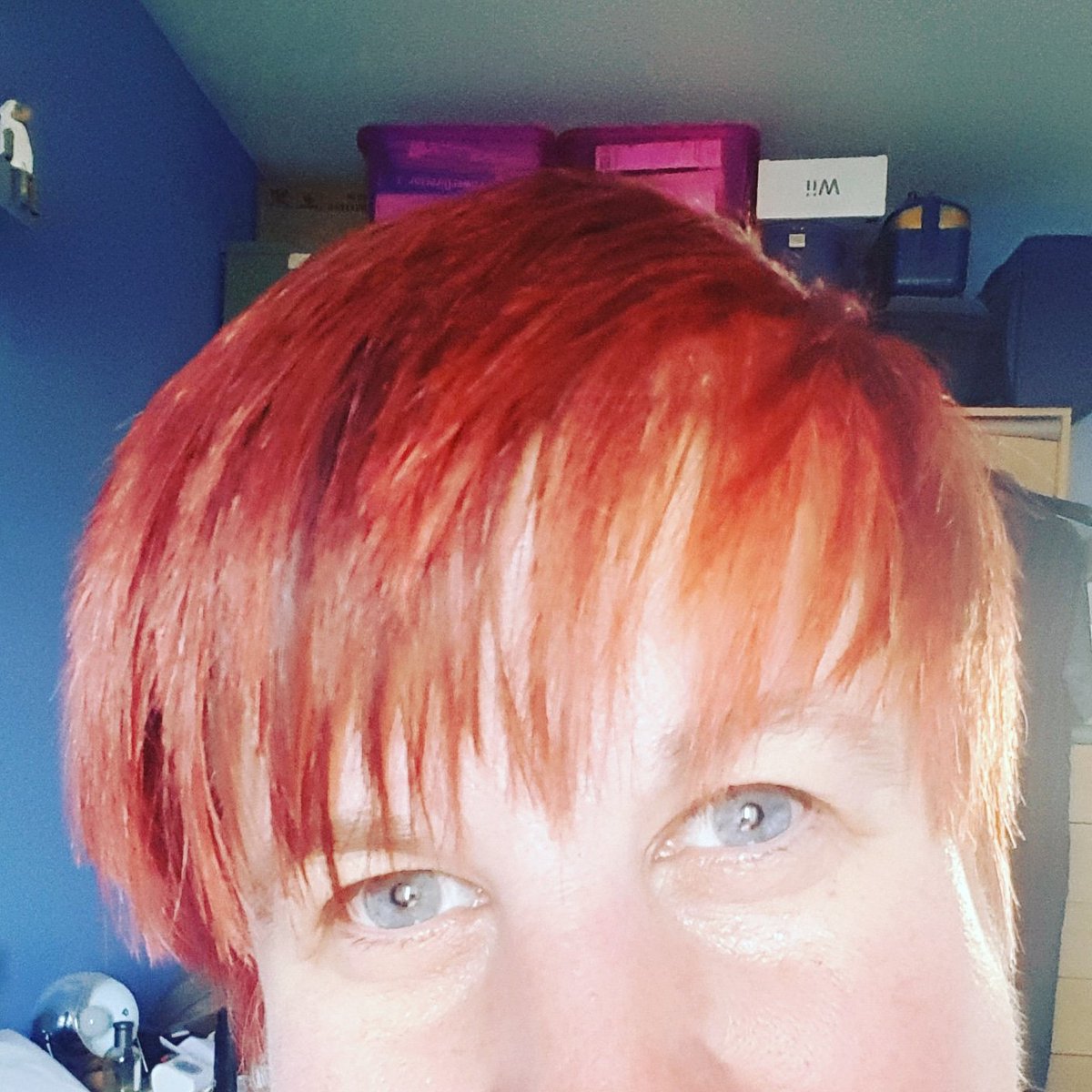 Labrusky_Dreams's tweet photo. @InterimAmy what do you reckon? https://t.co/2F7rgOHe5w