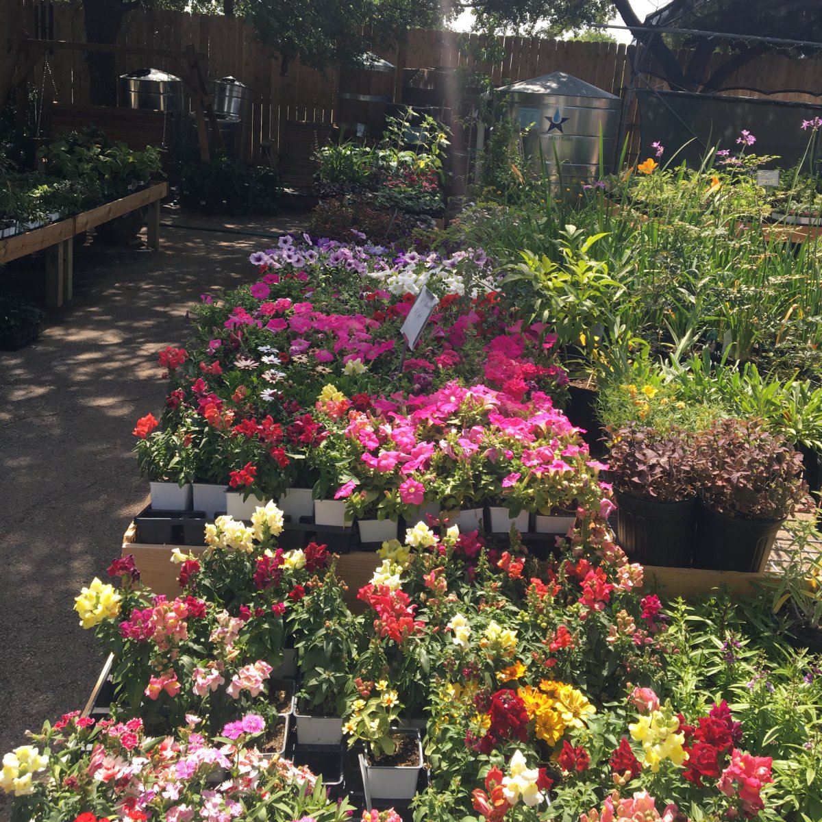 FarmGeorgetown's tweet photo. Picture yourself here. https://t.co/T0guiOJkLJ