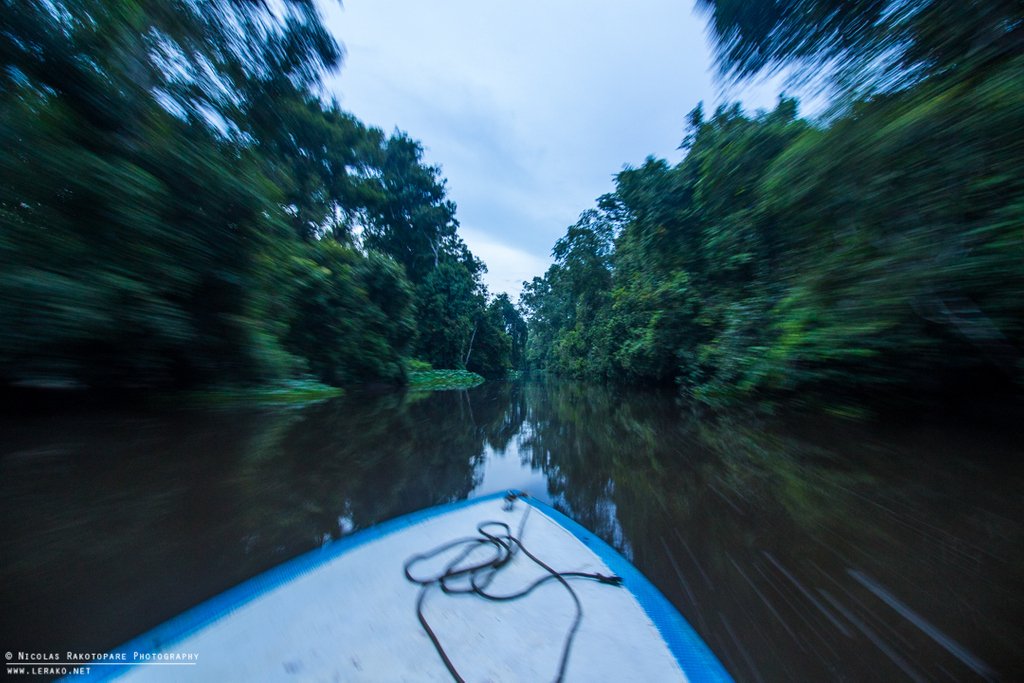 shop macrophytes in aquatic ecosystems from biology to management