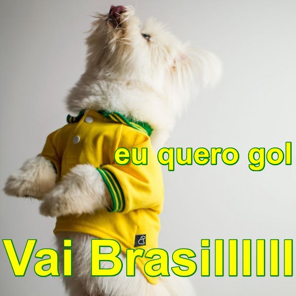 vai galera força vamos ganhar!!! 🇧🇷🇧🇷🇧🇷🇧🇷🇧🇷🇧🇷 #BRABEL