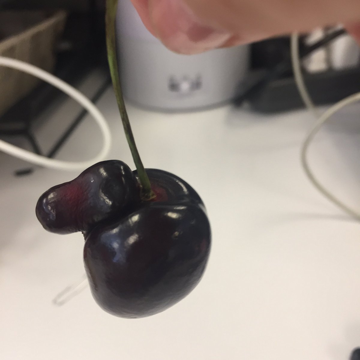 Pornographic cherries #foodporn