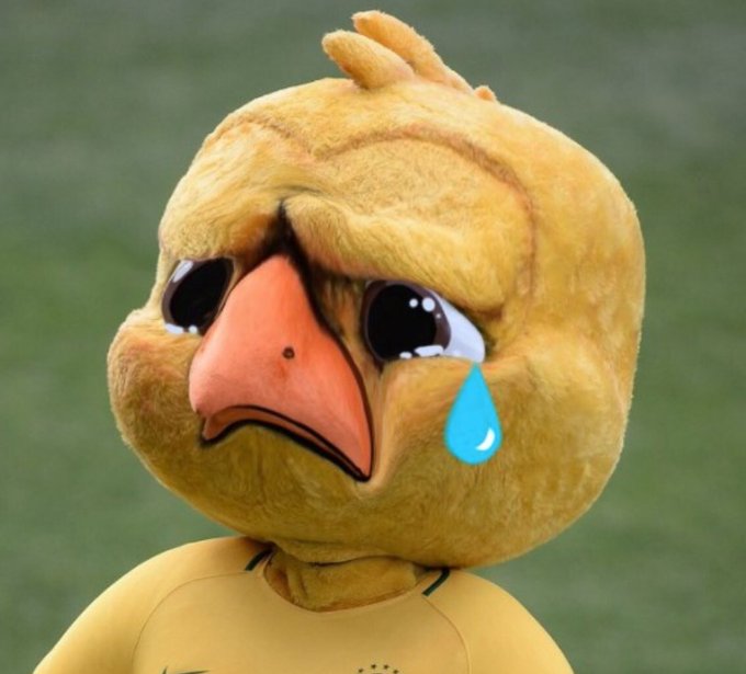 View image on Twitter