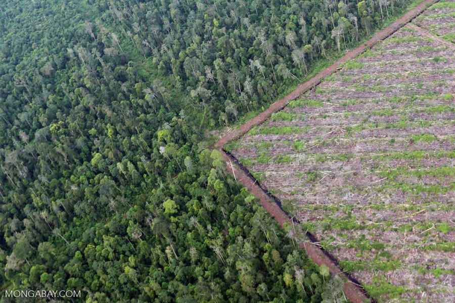 Teleferika_'s tweet photo. The world lost an area of tropical forest the size of Bangladesh in 2017
https://t.co/irczNXh18L https://t.co/XBhyzKfvSw