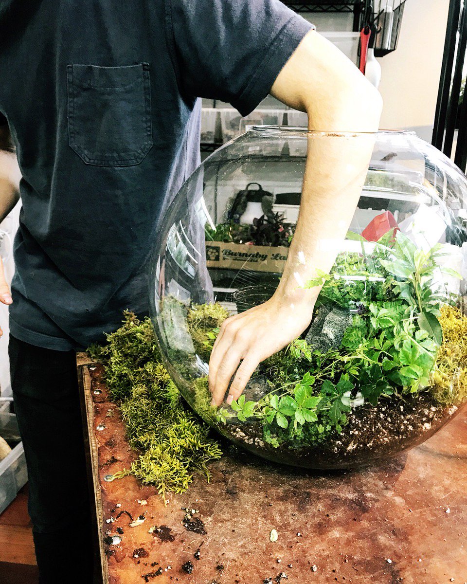 RooseveltsPDX's tweet photo. Did you know that we offer classes 5 times a week!? Use the code 2for1 to register you and a friend or partner and get two class seats for the price of one!! 😱 Bring living art home with you today! (offer ends on 7/14) https://t.co/wnztePUSPw https://t.co/9LzH60KOP2
