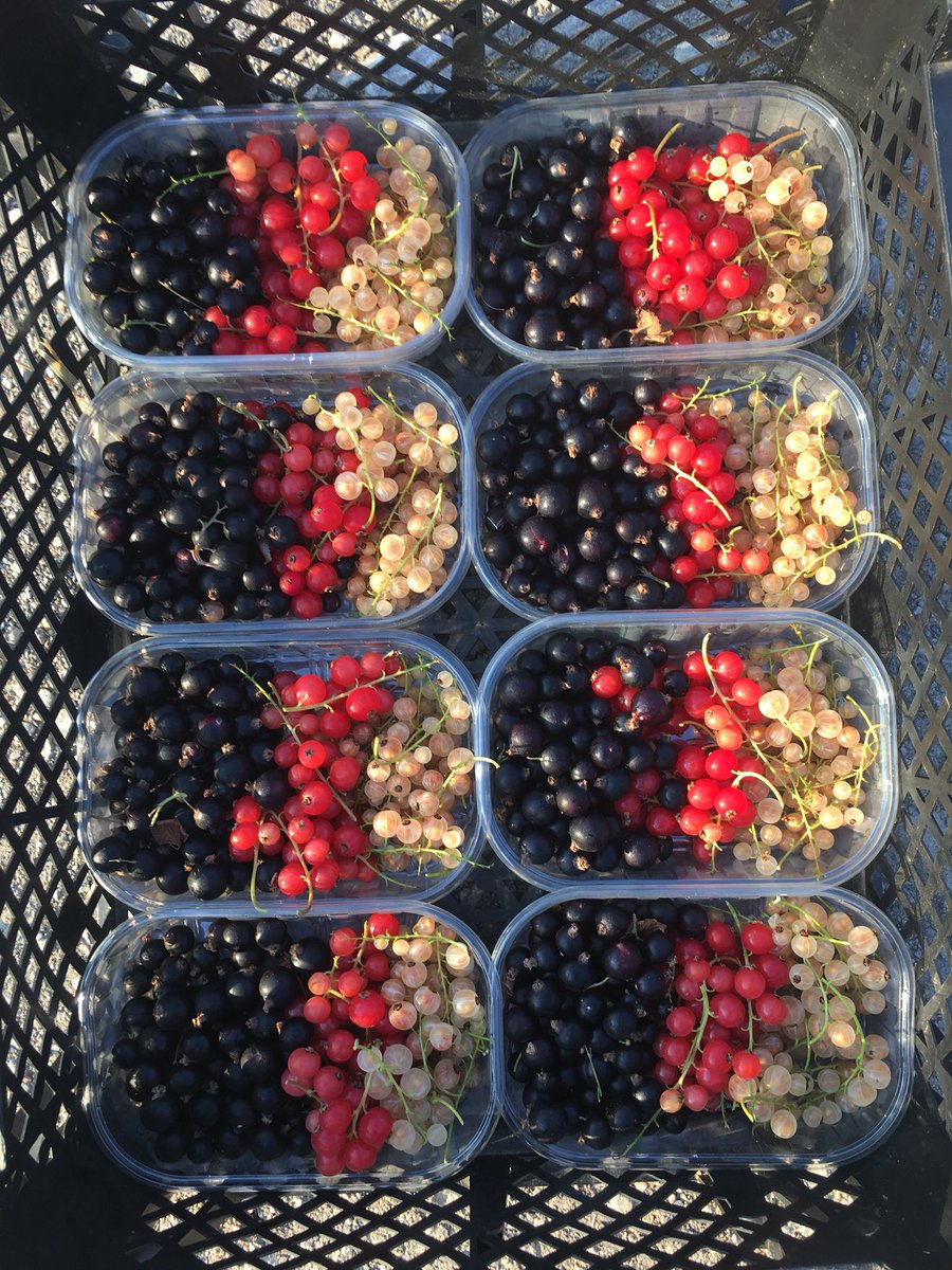 @totnesmarket tweet media