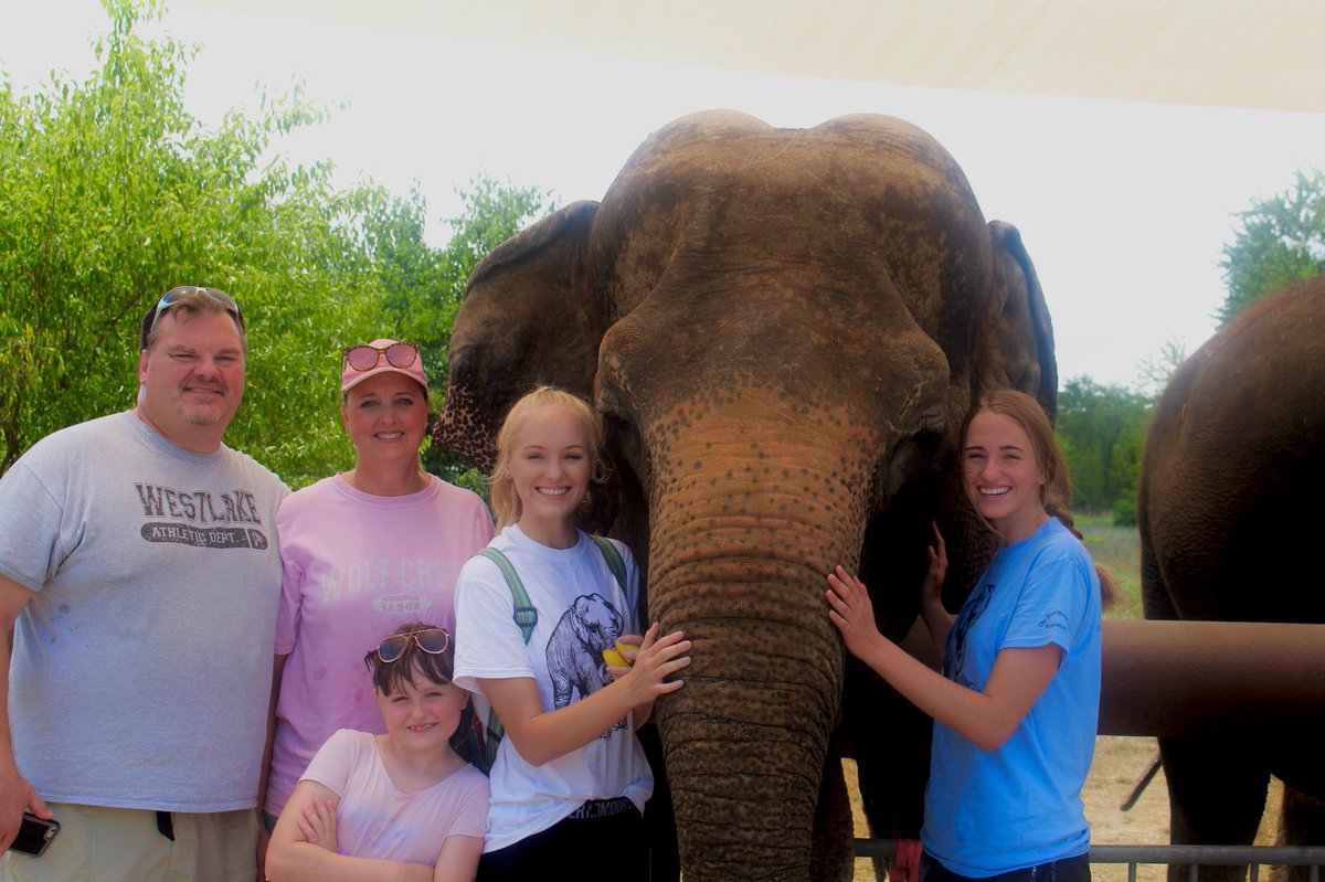 perdue_rose's tweet photo. Y’all I had the best day chillin with some elephants. My parents seriously outdid themselves with this surprise https://t.co/LB6Nlrz4RS