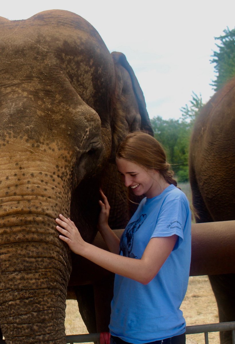 perdue_rose's tweet photo. Y’all I had the best day chillin with some elephants. My parents seriously outdid themselves with this surprise https://t.co/LB6Nlrz4RS