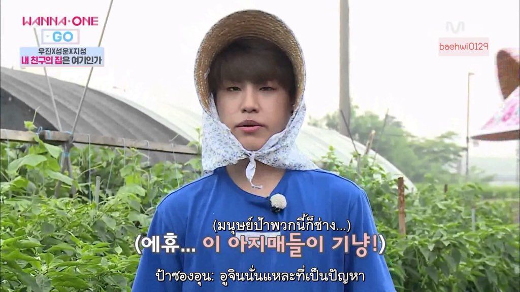 pwjxrocket's tweet photo. @jolyxofficial ร้อคเก้ต รายงานตัวครับจ้า https://t.co/Fc9hqMb8t2