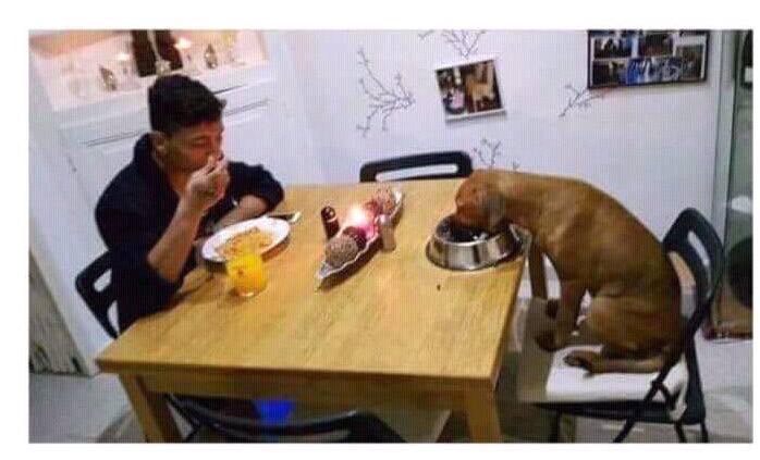 Perromillennial's tweet image. Yo cuando mi mamá no está en la casa.