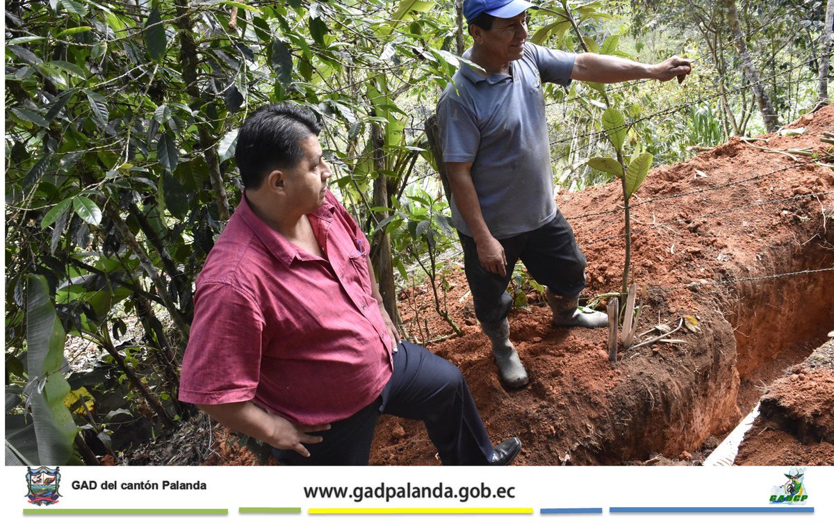 GAD10447289's tweet photo. @GADPalanda ejecuta colocación de 500 m lineales de alcantarillado sanitario del barrio #Tapala, parroquia #Valladolid. #Palanda #ZamoraChinchipe @PaulOrtizEc @sandnoticias @chinchipeHoy @podocarpus981
@zamoraendirecto https://t.co/950my1qJv9