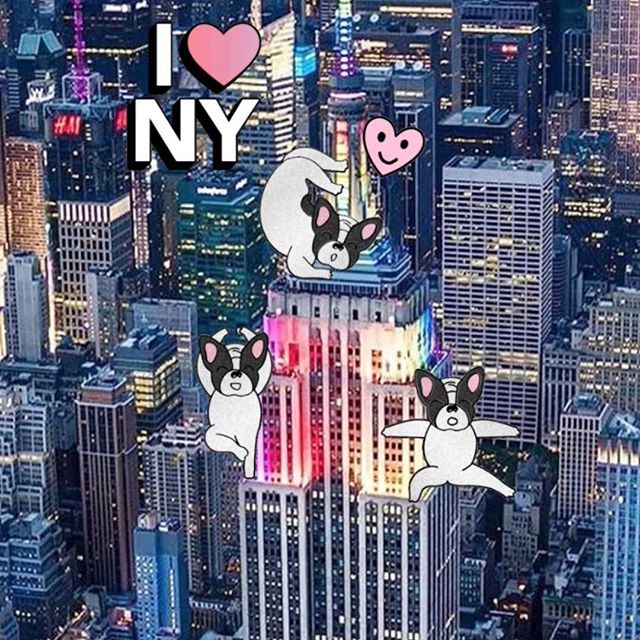 ivoadventures's tweet photo. πΊπΈπΆ if you canβt stop thinking about it.. #nyc #beststickersever #havefun #stickers #ivoadventures #handdrawing #handdrawn #newyork #frenchie #frenchbulldog #glitter #havefun https://t.co/17JxQbhaLN https://t.co/KrUyObg6Y8