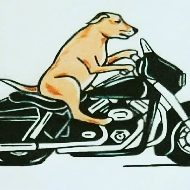 OldDogPromotion's tweet photo. Rodeo on Wheels September 20-23, 2018 in Ruidoso Downs NM
Check out our website and get more details. https://t.co/VBseqZl5Ao
#motorcycles #lovetoride #ruidosodowns #rodeoonwheels #RiderNation #campinglife #music #houseoftherisingsun #lovetoride #highwaytohell #Exciting https://t.co/2fDXLeckRl