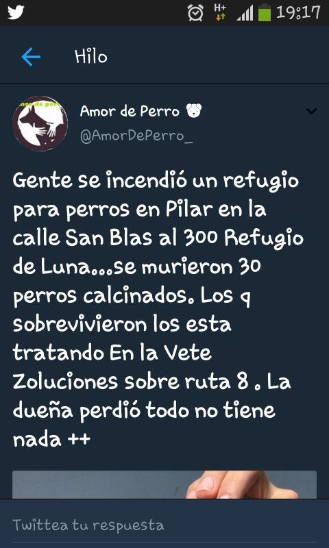 sonrisitas88_'s tweet image. Se necesita urgente Platsul, gasa furacinada, tramadol
.meperidina, cuchas alimento para los perros q quedaron, mantisas, acolchados para poner a los perriton.ropa para ella, la dueña que perdió todo. Si podes colaborar comunícate al 1567643293. Por favor DIFUNDIR