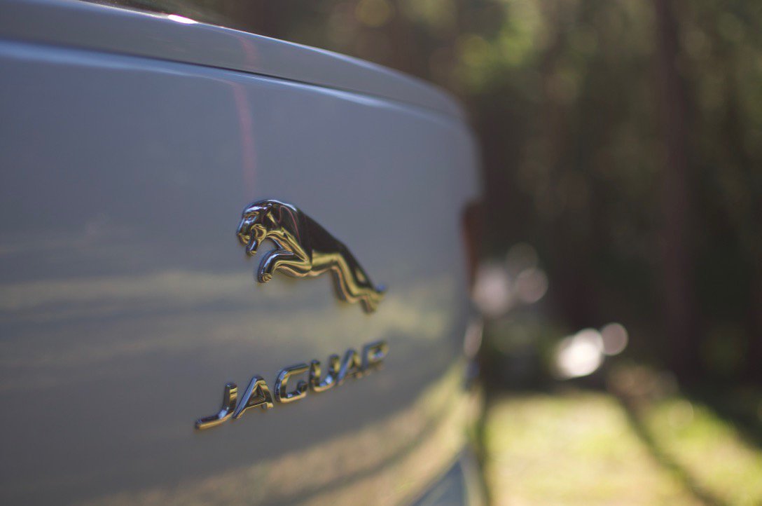 LesVoituresElec's tweet photo. Souvenirs de notre journée au circuit de Mortefontaine! Au programme: essai de la @Jaguar I-Pace sur circuit. Agilité, plaisir de conduite et souplesse au menu. https://t.co/8G7FBQPbQO
#Woah Merci @JaguarFrance pour l'expérience ! #inoubliable https://t.co/ub2XEEhzhD