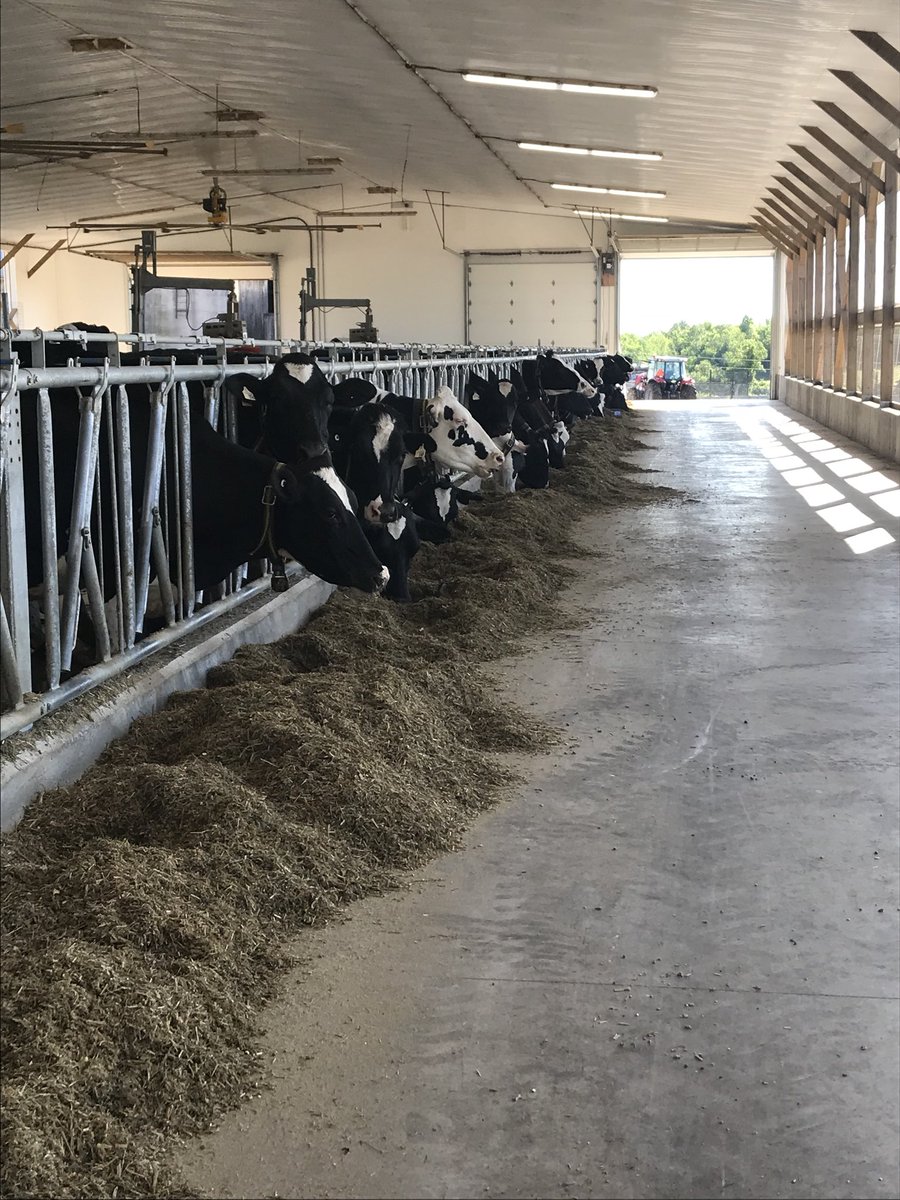 LaurieScottPC's tweet photo. #ontholstein Twilight meeting at Shier’s Elmheights farm in Wilfrid. Thanks to Reg, Jane, Kevin, Amanda & Lisa for hosting! Beautiful farm and new barn. #thankafarmer https://t.co/3NbaqccEUP
