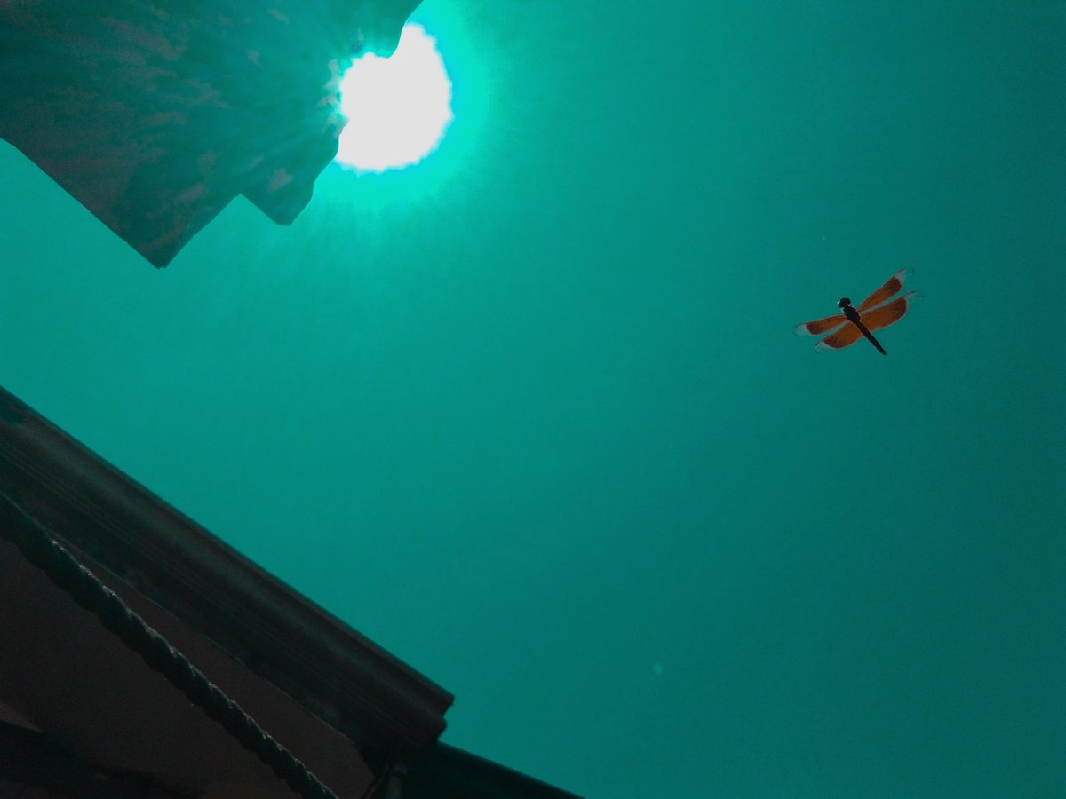 markryanpkro's tweet image. Good Morning 

Off to BISU ☝️ 
-skoyla tag balik 😁
#Masterand