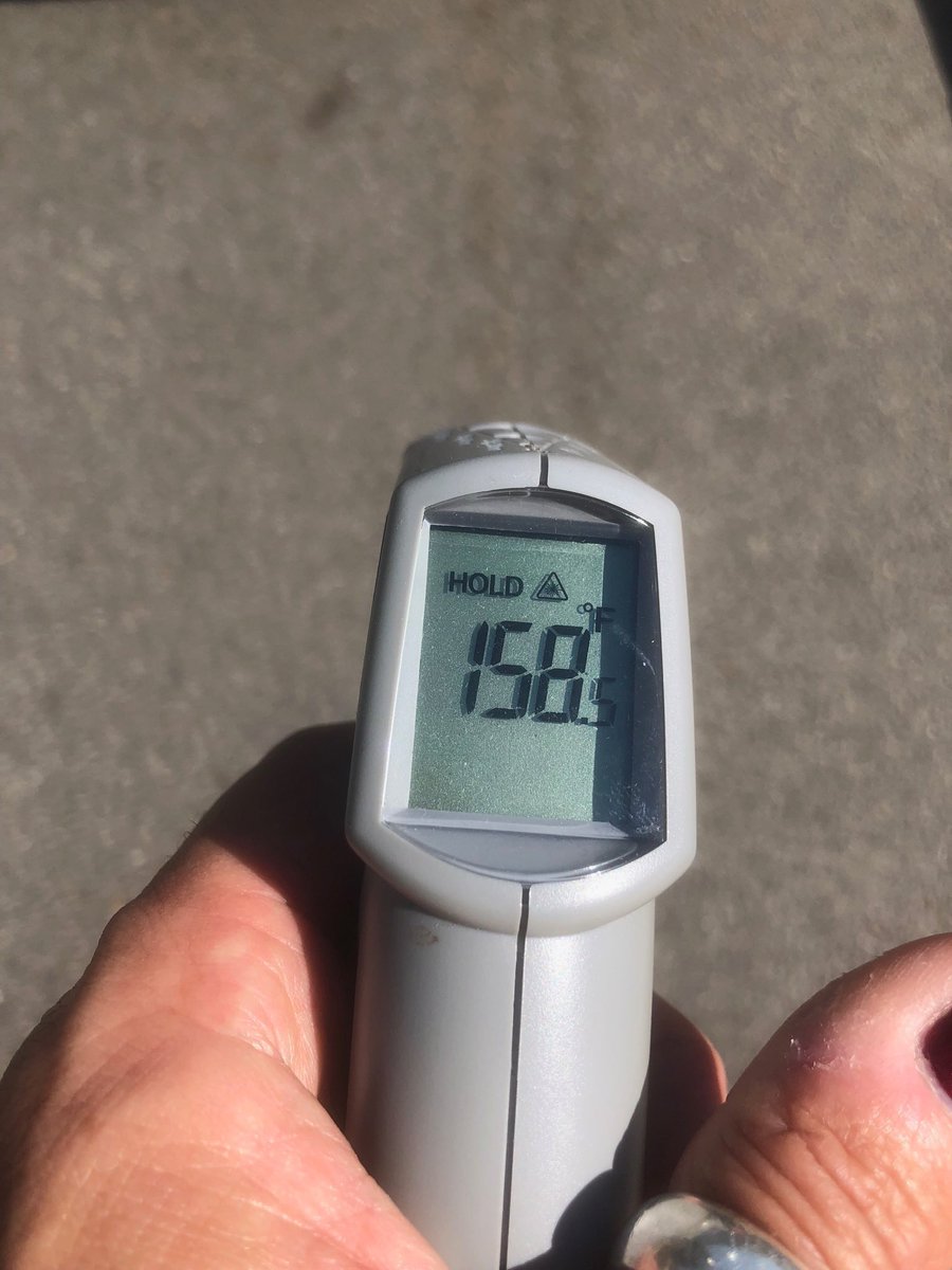 justgillette's tweet photo. 116* on top of the hill in Sherman oaks, but the pavement outside is 158*.  We could literally cook street meat #LAHeatwave https://t.co/S2HDIaprXp