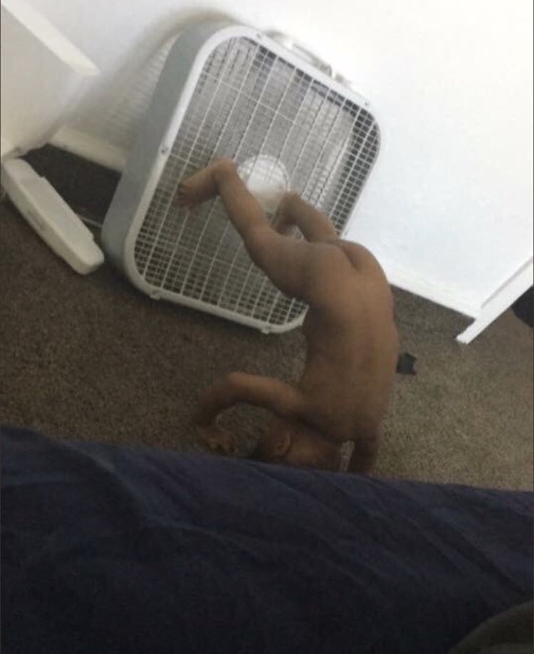 lmaogizzelle's tweet photo. The whole IE rn https://t.co/AdgpqVNnkY