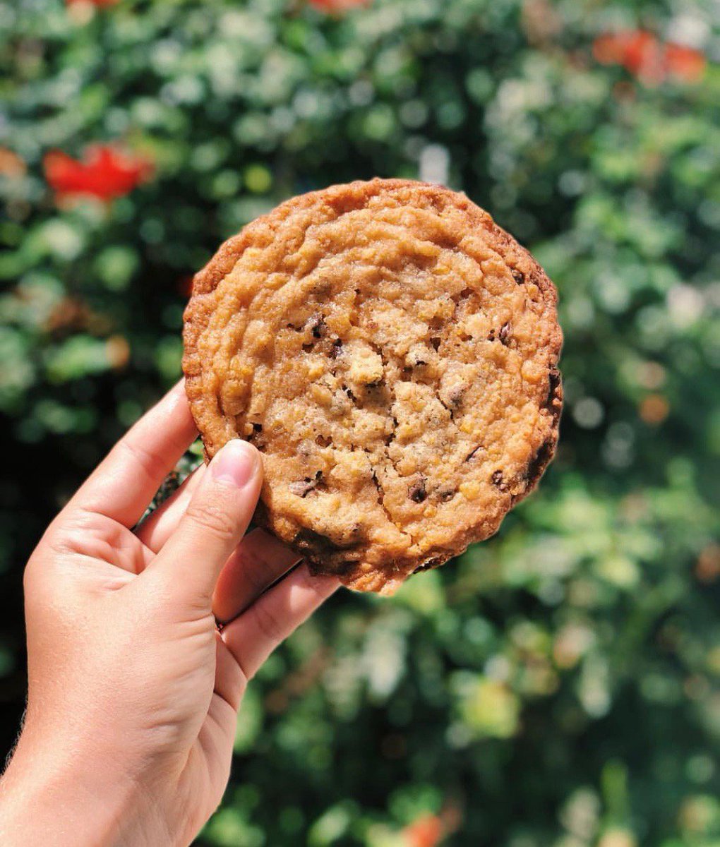 ChristinaTosi's tweet photo. fireworks and a whoooole lotta cookies ๐บ๐ธ๐ชโ๐ป#beyondbaking https://t.co/341hbgYY4M