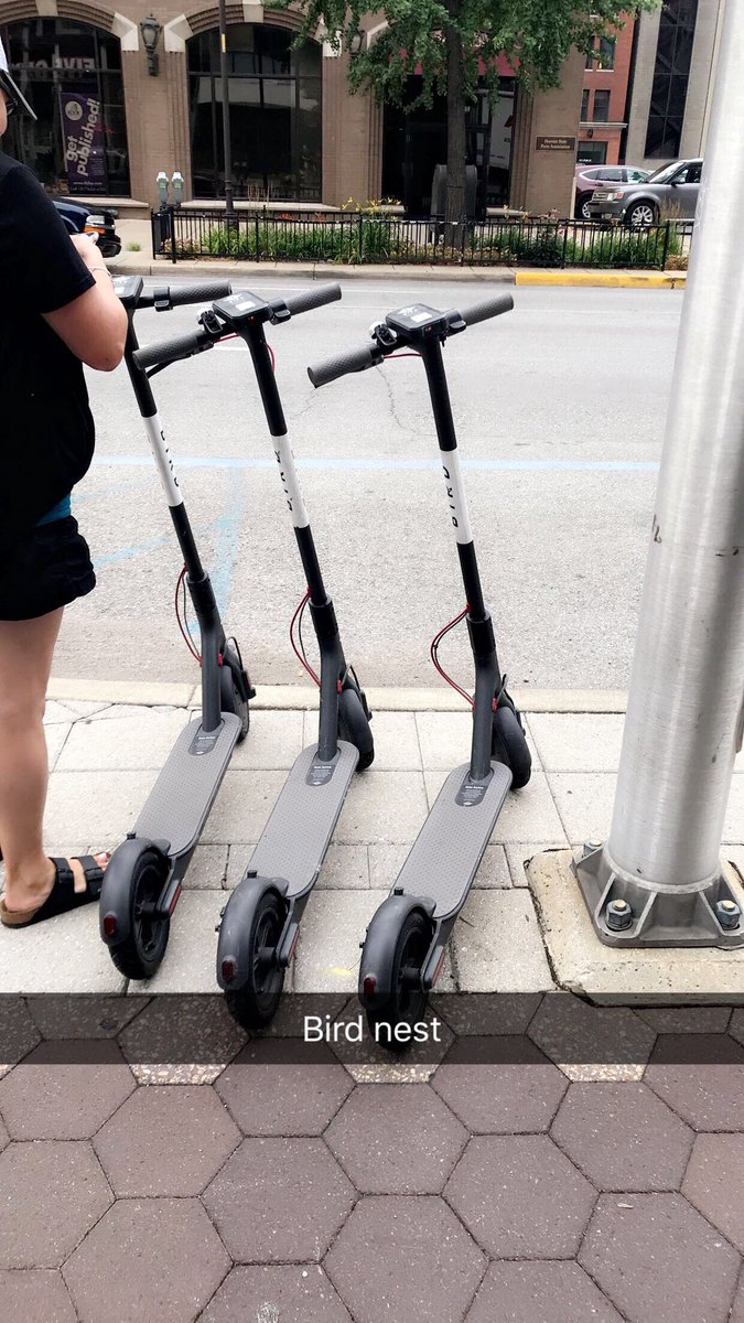 emilydavitto's tweet photo. When all you want to do at work is take breaks and go cruise on a @BirdRide #birdingislife #wemighthaveaproblem 🛴 🦅 https://t.co/nJyPq1pK5V