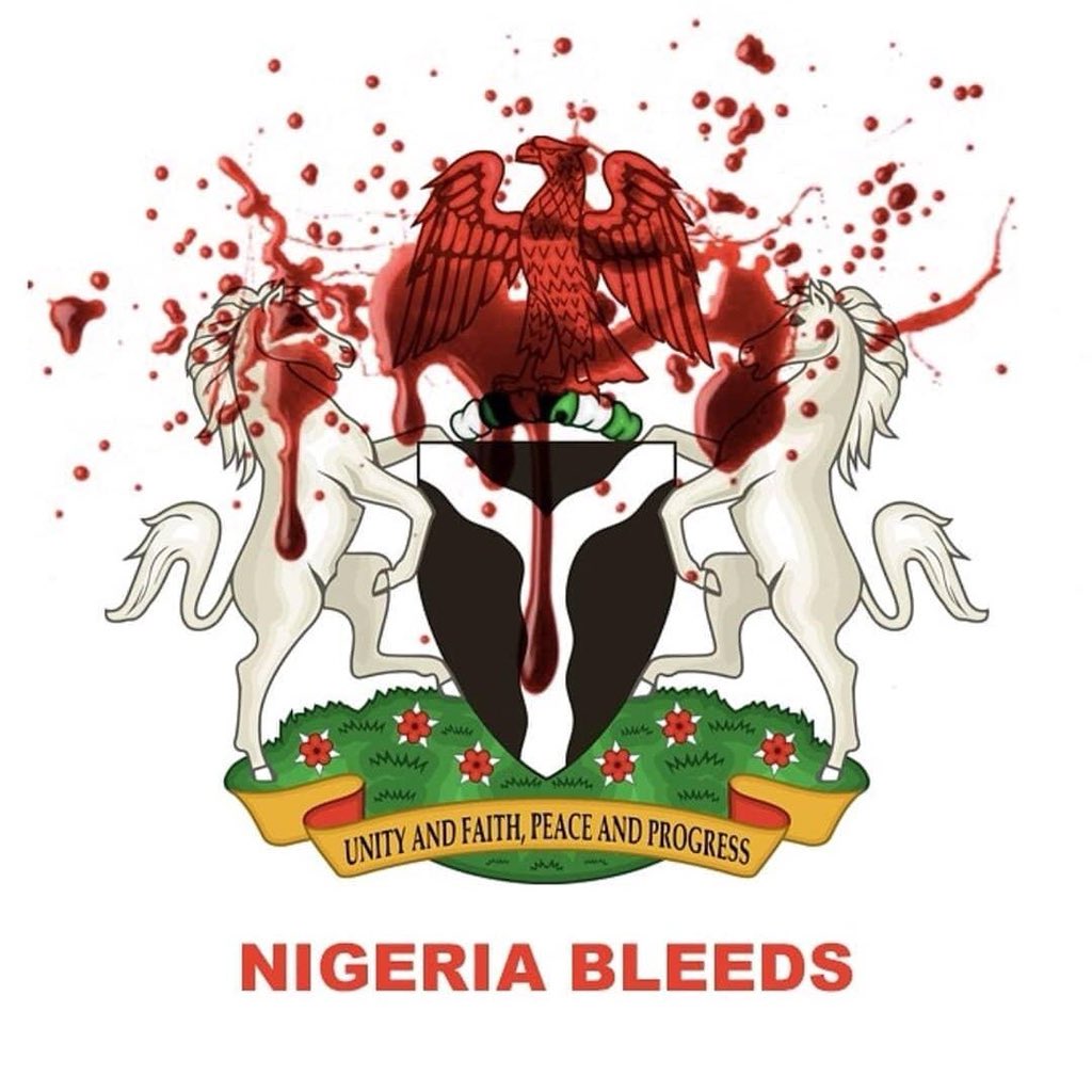 Ubaidullahkaura's tweet photo. May all killers in Zamfara &amp;  all over Nigeria, their sponsors and defenders be met with the raw wrath of Allah's Punishments @AishaYesufu @HelpSaveZamfara @faith_anza @bashir_maru @SaadAbdoolh https://t.co/RURWpxkQ4l