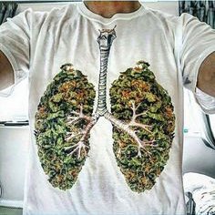 7Filthy's tweet photo. Probably what my lungs look like rightaboutnow! #GrowLIFE #weed #blunts #cannabis #marijuana #420 #kush #weedporn #edibles #concentrates #stoner #shatter #pnw #pnwstoner #maryjane #dank #indica #dab #wax #thc #Seattle #legalizeIt #luxury #FilthyLIFE https://t.co/ELdfhLFuwr