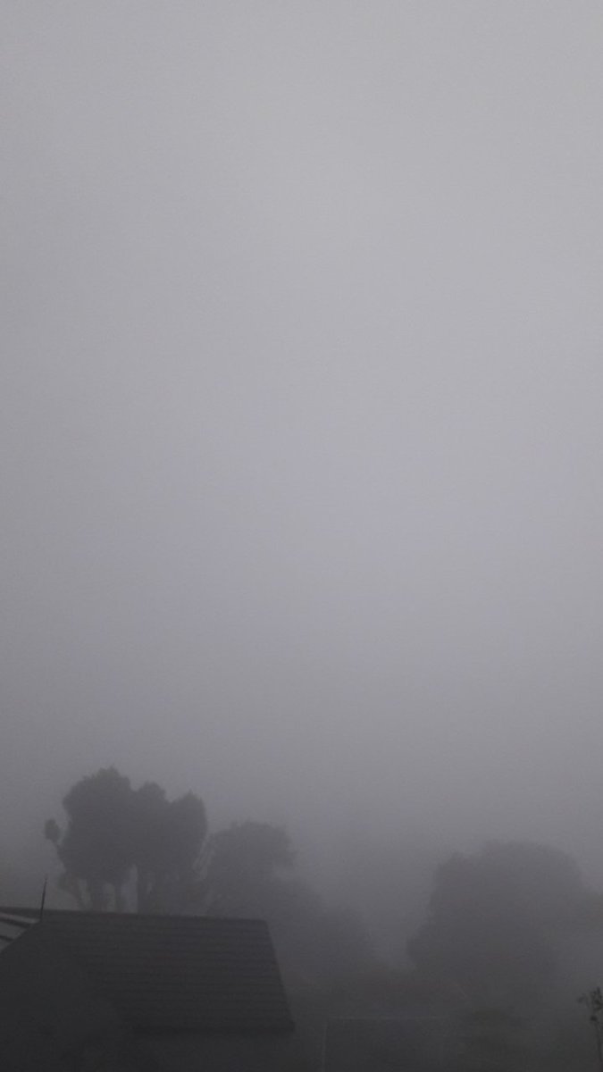 Di sini, Bandung sedang menjadi dirinya sendiri bersama udaranya yg asli merayap ke dalam tulang.