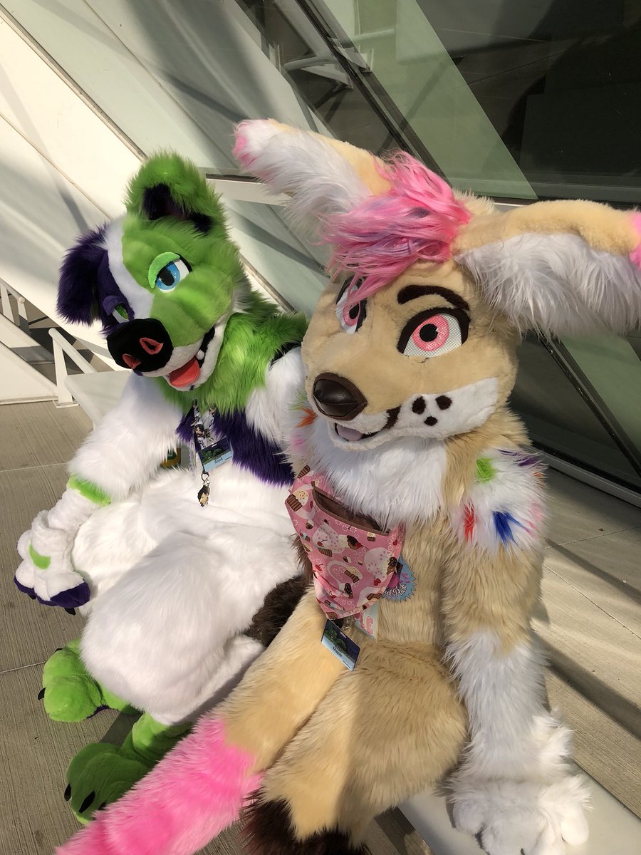 mostlybaddog's tweet photo. Happy #fursuitfriday from the #badpack at anthrocon!! https://t.co/JioCSvDOhA