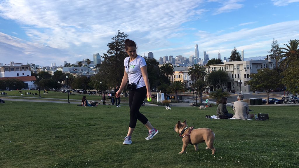 Actijoy's tweet photo. Help @Actijoy to prolong dogs' lives today at #dolorespark #lovedolores #sanfrancisco #missiondistrict #dogsofdolores #sfdog https://t.co/FPWaJjrkWn