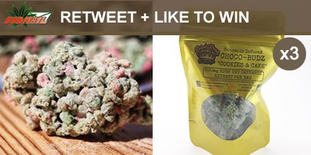 therealbudmail tweet picture